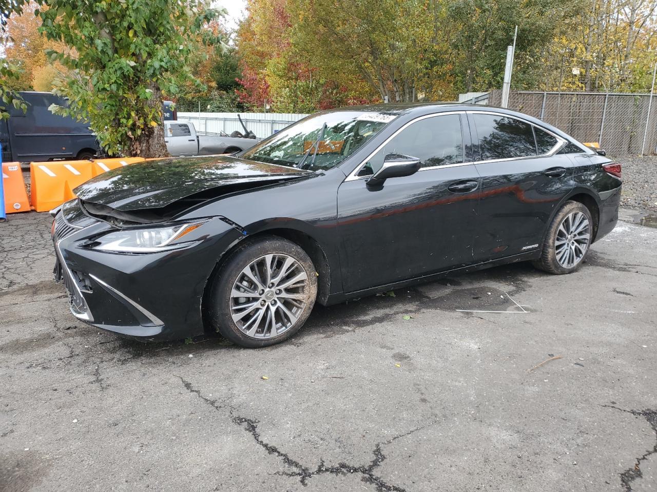 2019 Lexus Es 300H