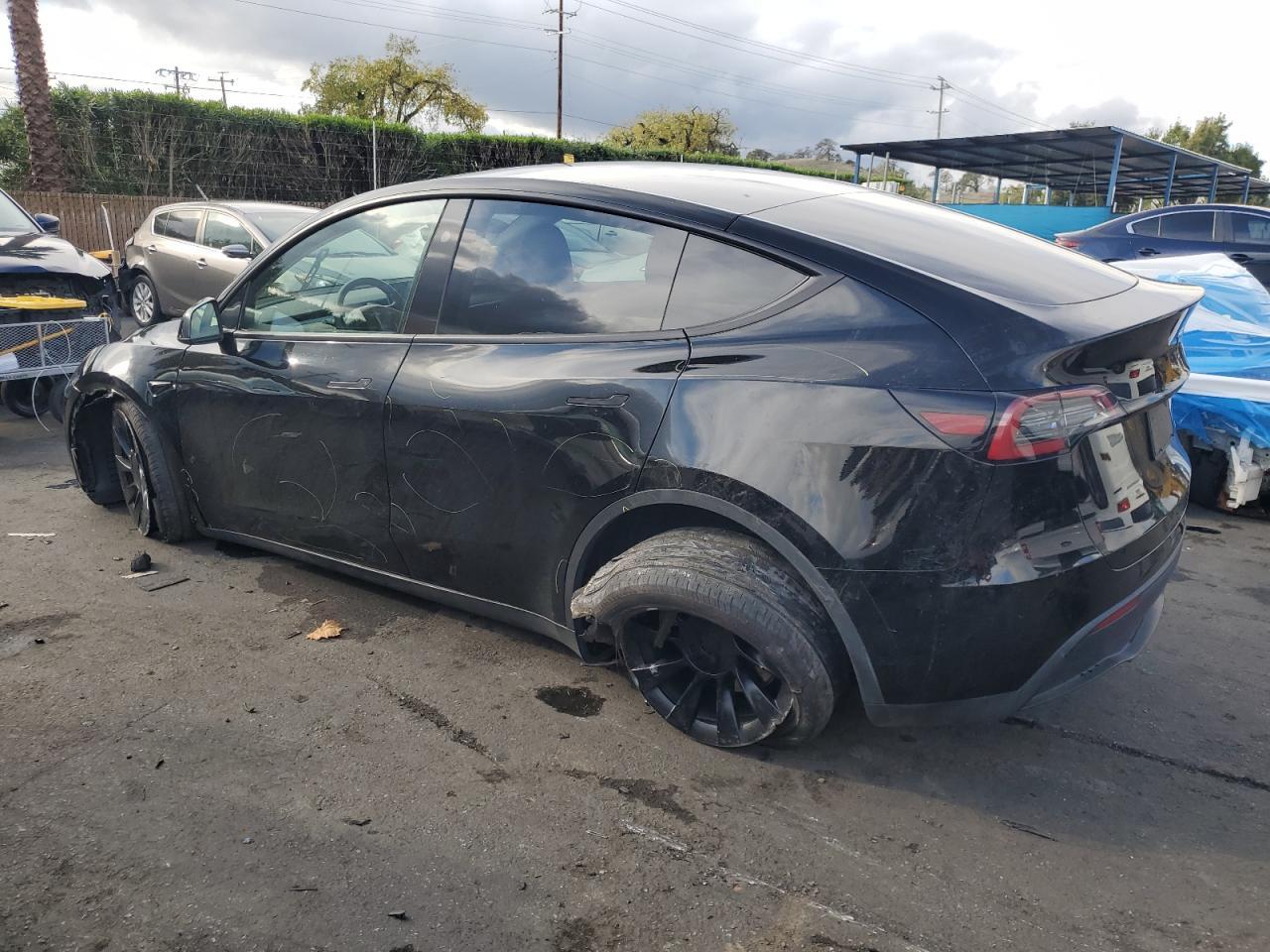 2024 Tesla Model Y - Фото 2