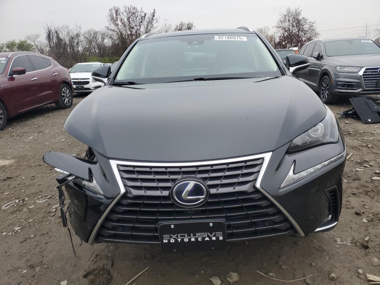 2019 Lexus Nx 300H - Фото 5