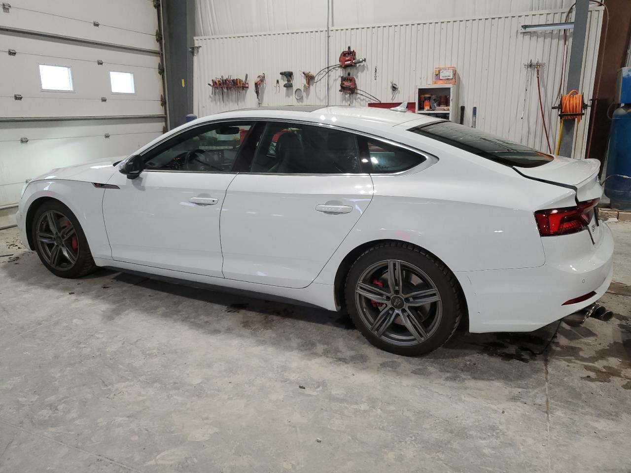 2019 Audi S5 Premium Plus - Фото 2