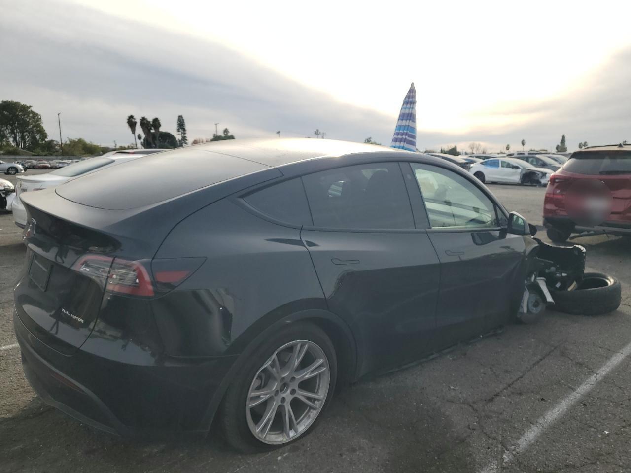 2023 Tesla Model Y - Фото 3