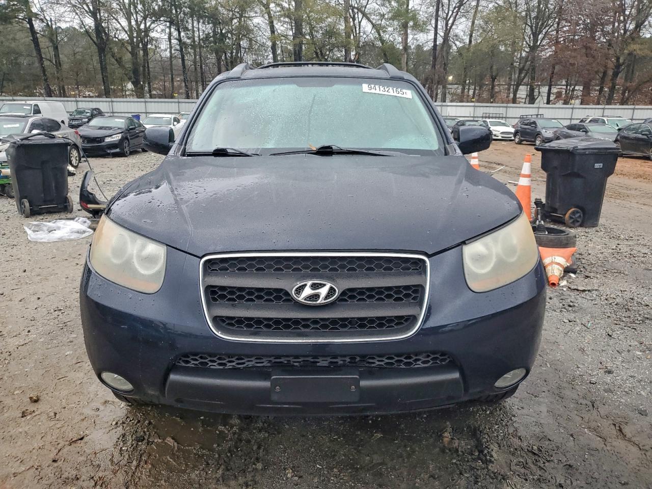 2007 Hyundai Santa Fe Se - Фото 5