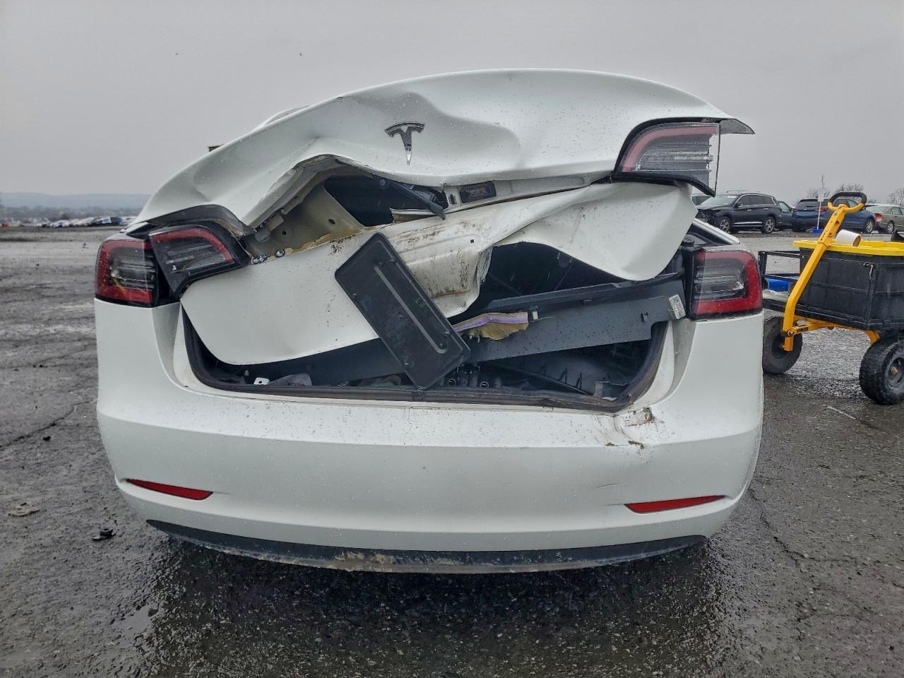 2023 Tesla Model 3 - Фото 6