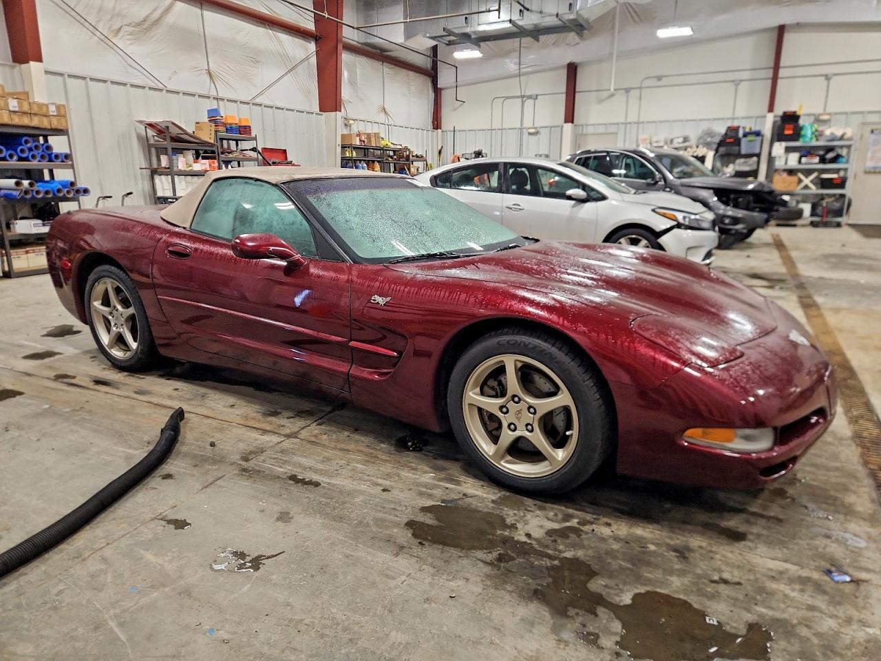 2003 Chevrolet Corvette - Image 4