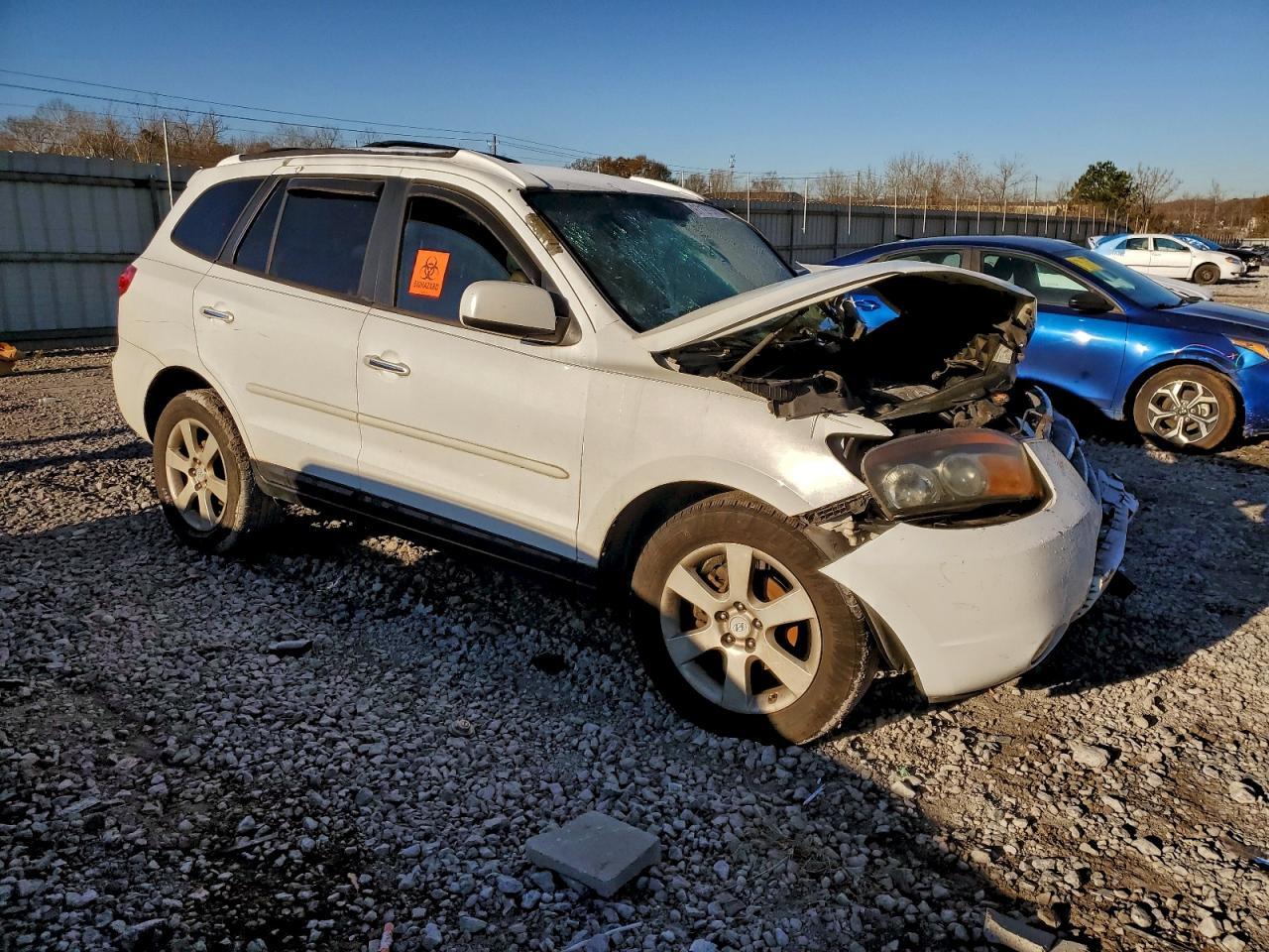 2007 Hyundai Santa Fe Se - Фото 4
