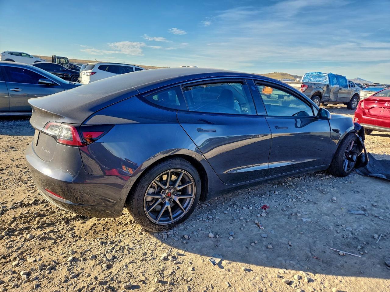 2021 Tesla Model 3 - Фото 3