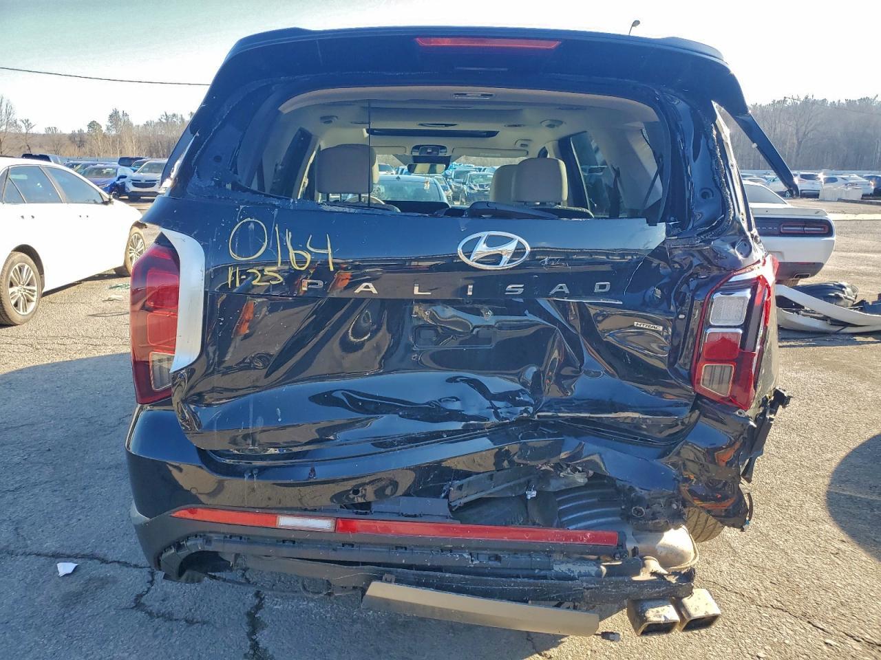 2024 Hyundai Palisade Limited - Фото 6