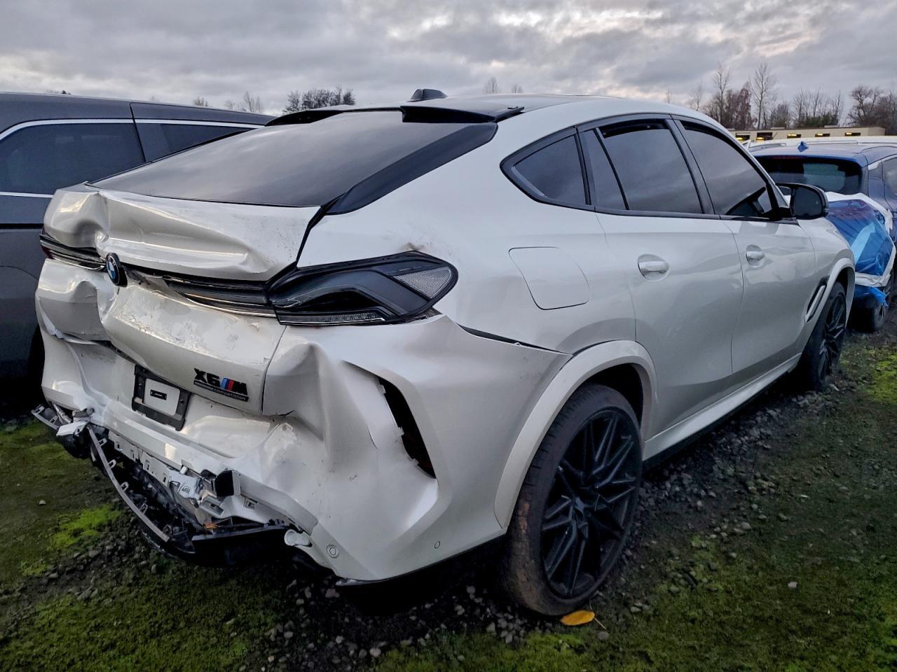 2024 BMW X6 M Competition - Фото 3