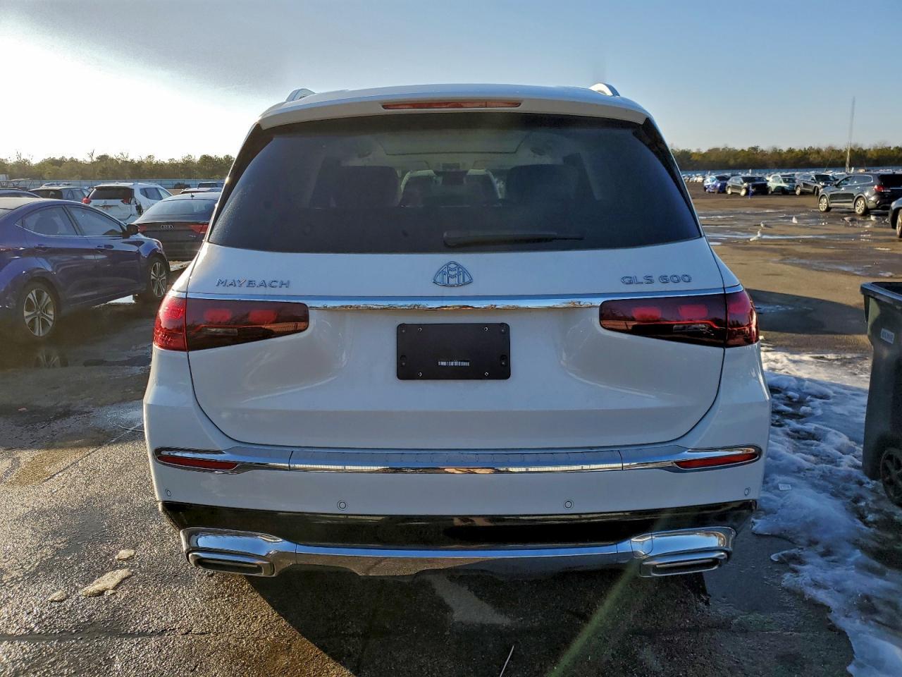 2025 Mercedes-Benz Gls Mercedes-Maybach Gls600 4M - Фото 6