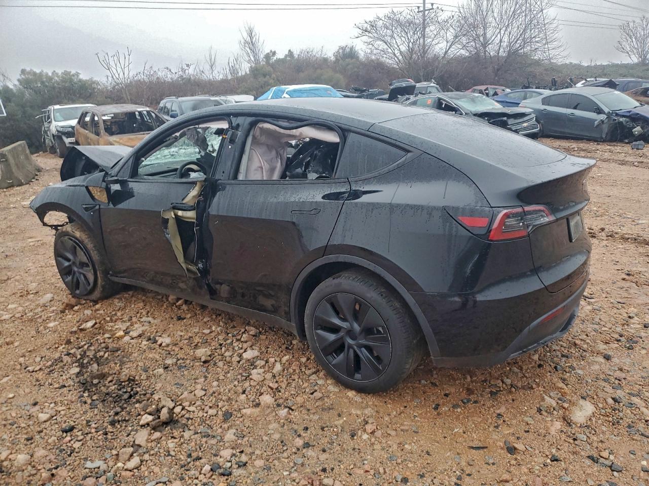 2024 Tesla Model Y - Фото 2