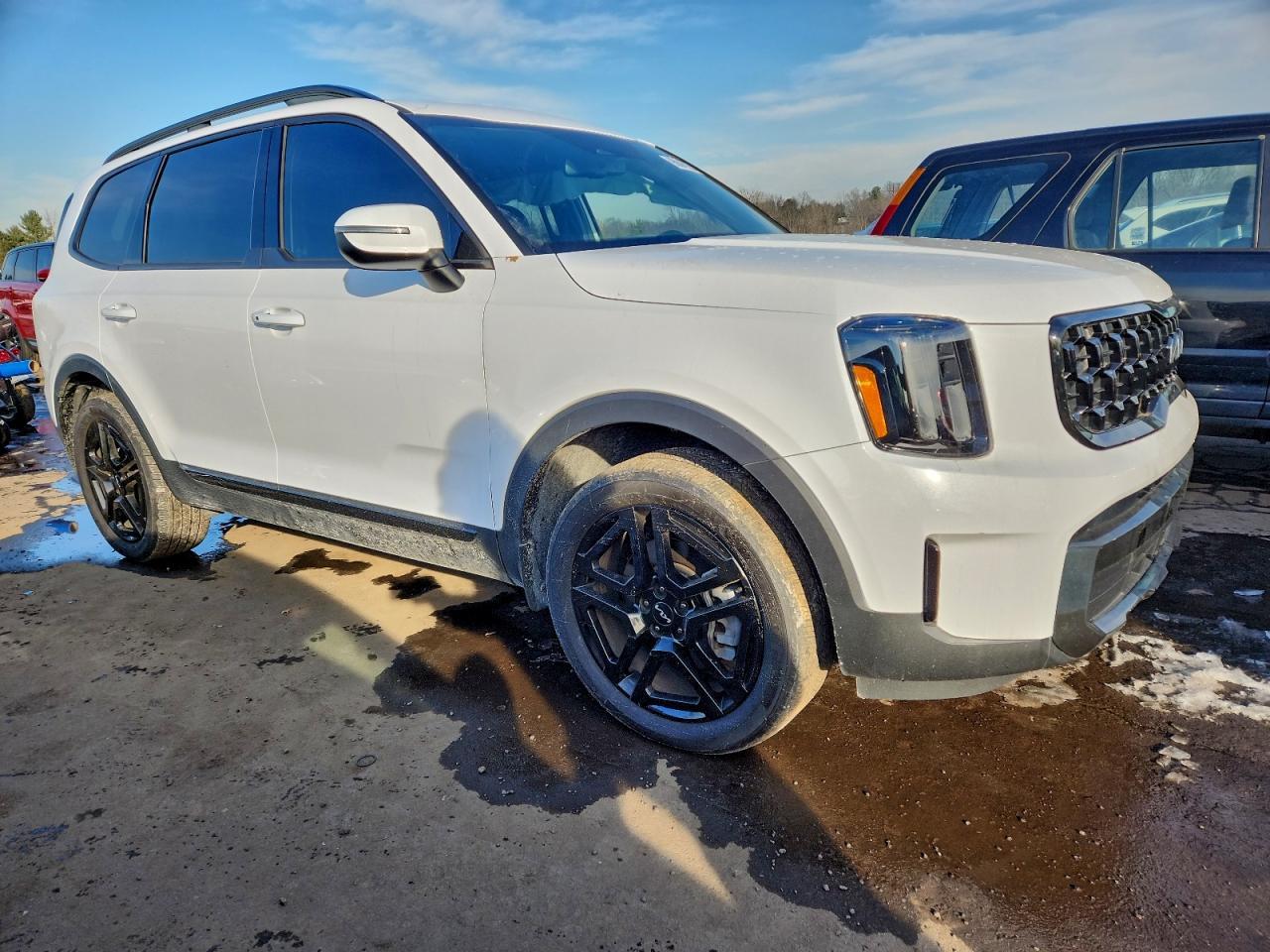 2024 Kia Telluride Ex X-Line - Image 4