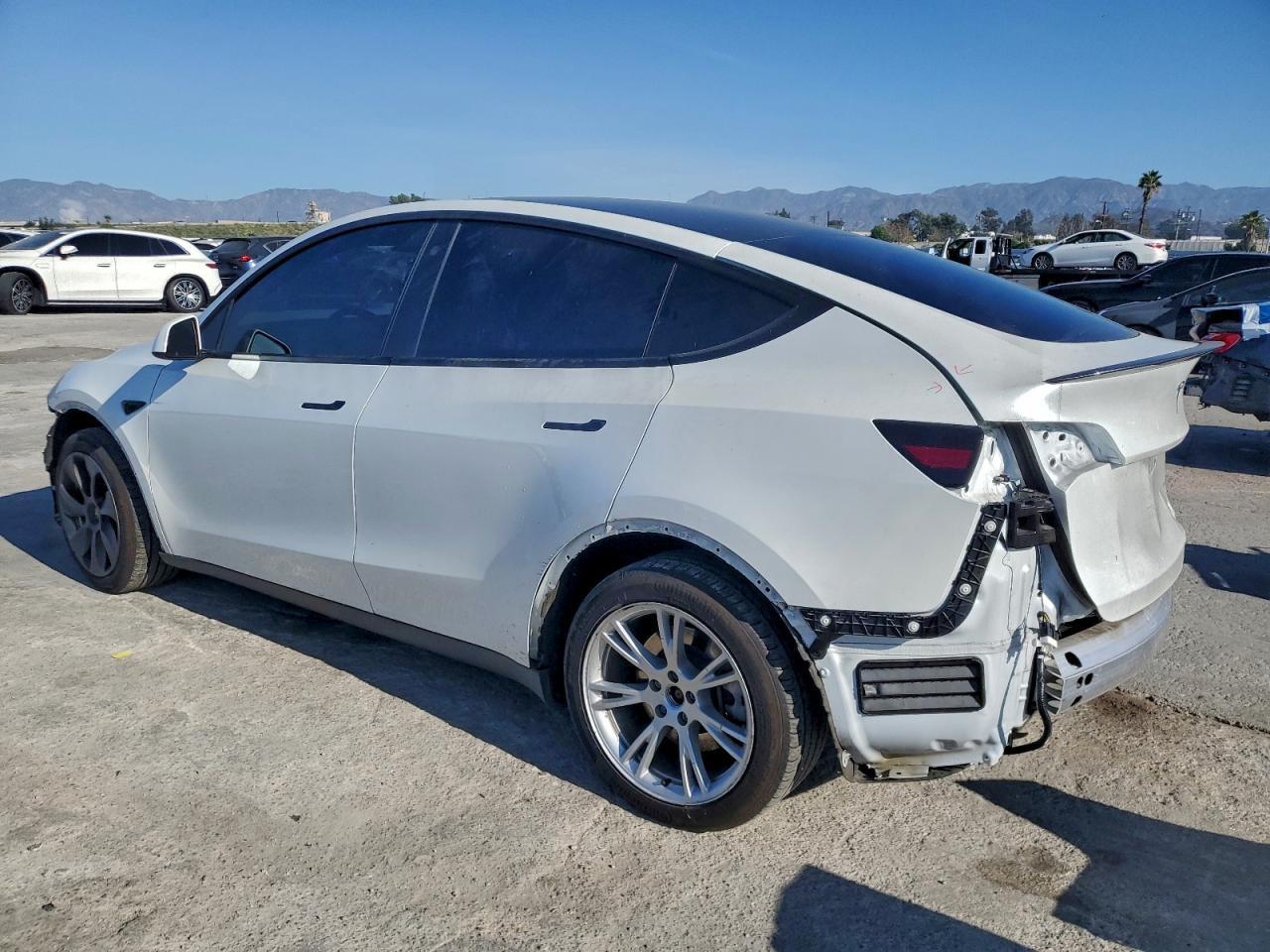 2023 Tesla Model Y - Фото 2