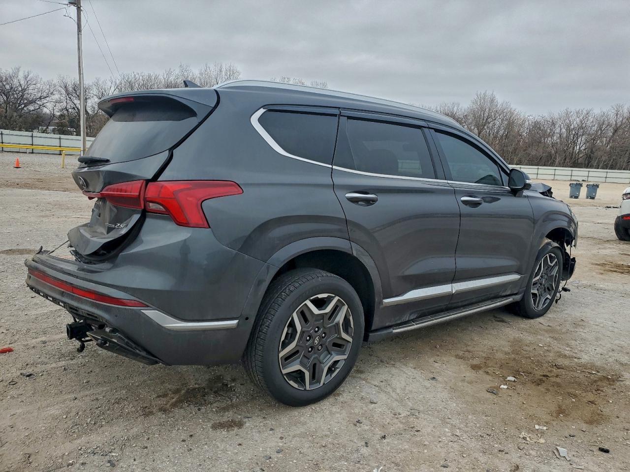 2021 Hyundai Santa Fe Calligraphy - Фото 3