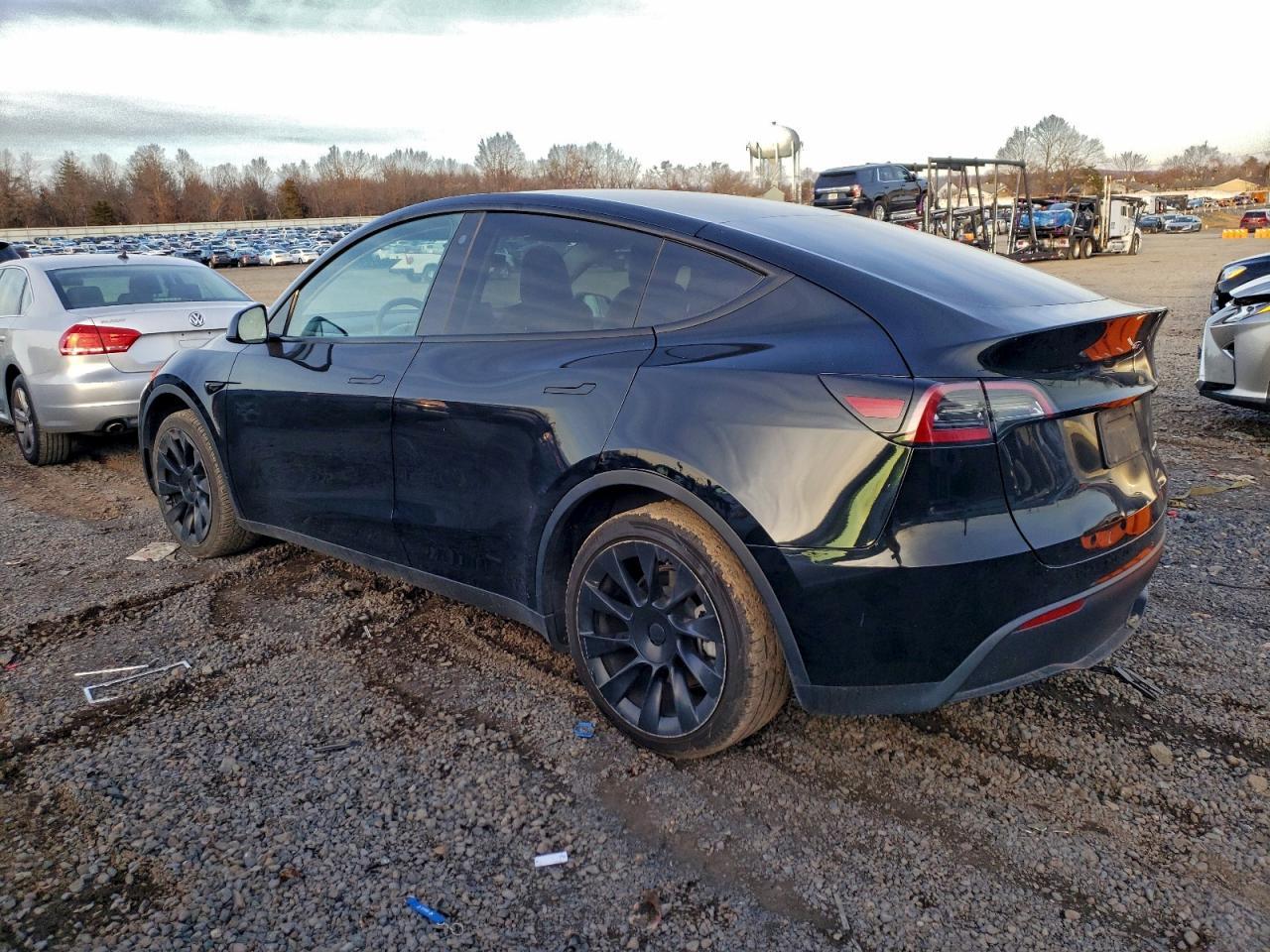 2023 Tesla Model Y - Фото 2