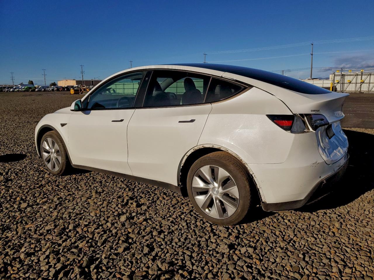 2021 Tesla Model Y - Фото 2
