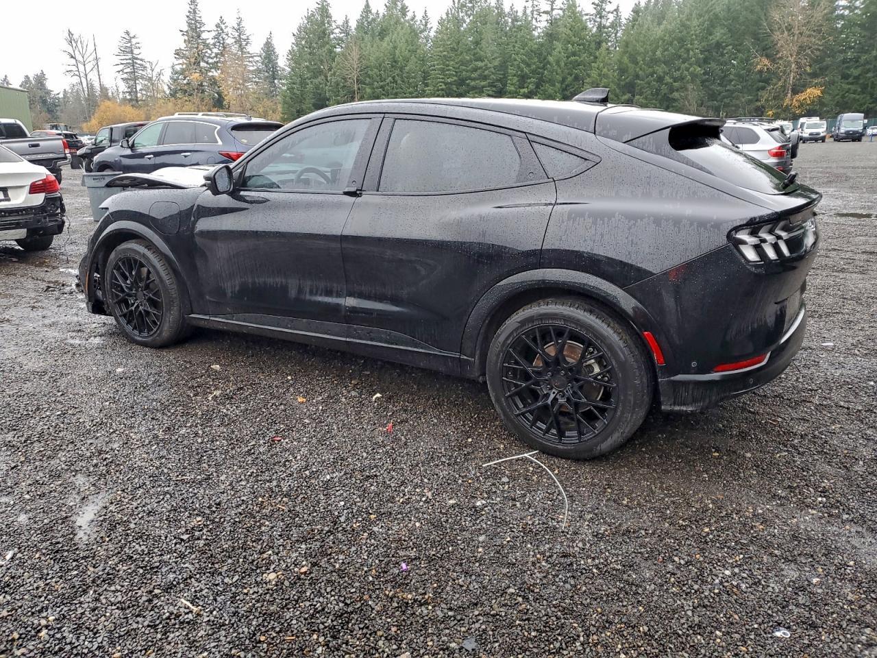 2021 Ford Mustang Mach-E Premium - Фото 2