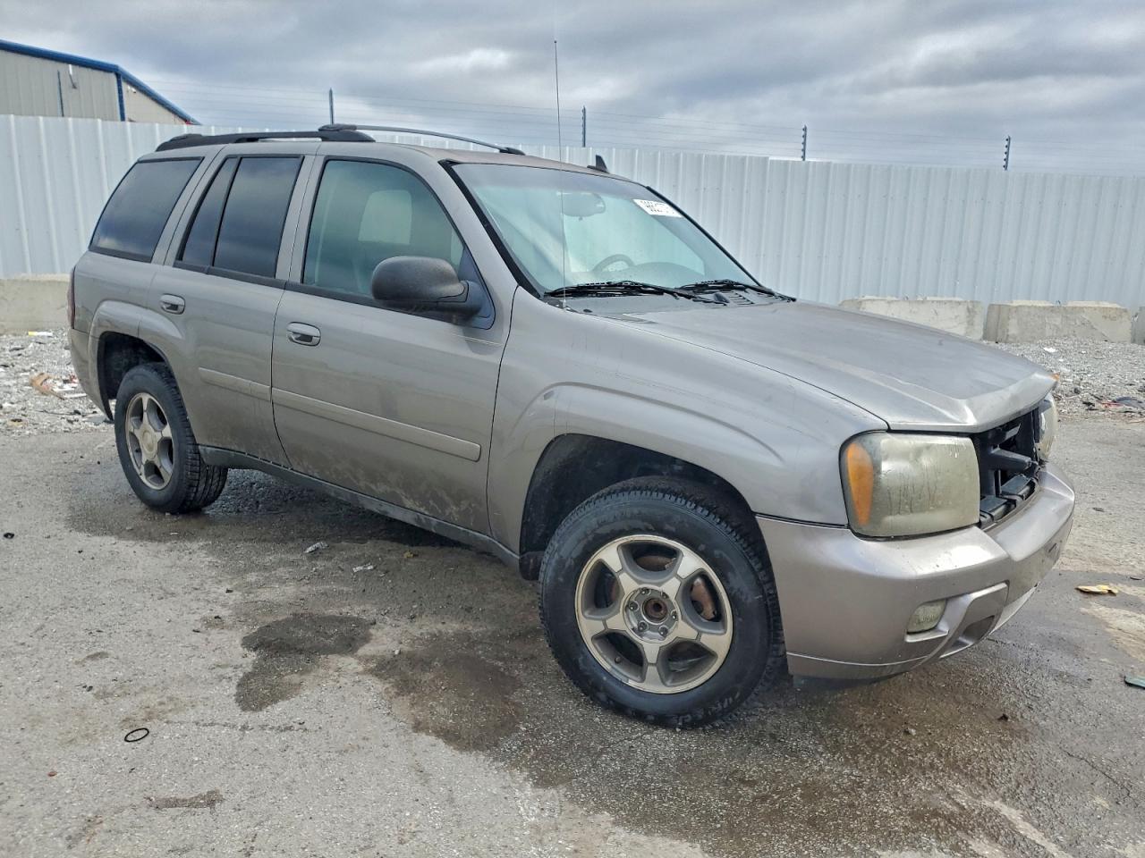 2008 Chevrolet Trailblazer Ls - Фото 4
