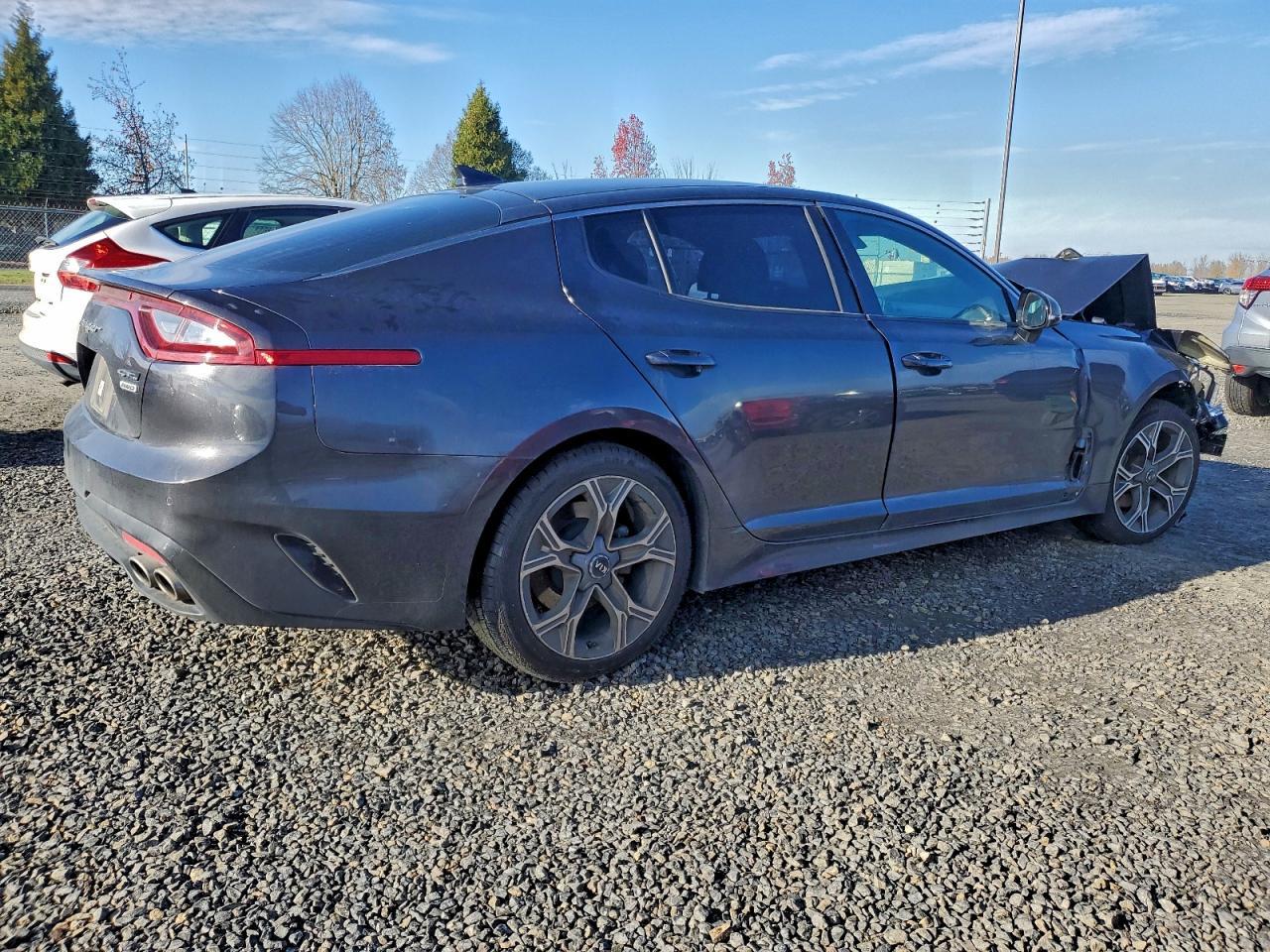 2021 Kia Stinger - Фото 3