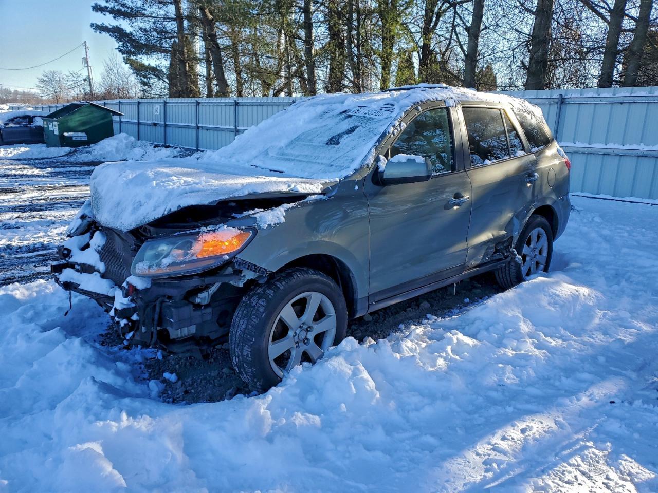2007 Hyundai Santa Fe Se