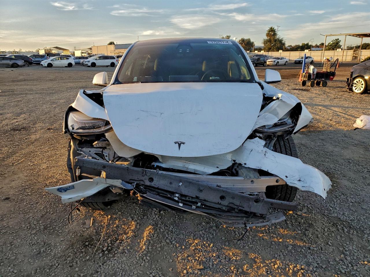 2021 Tesla Model Y - Фото 5
