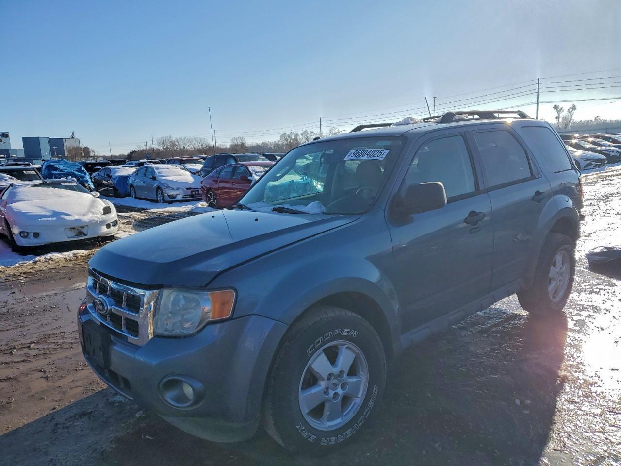 2010 Ford Escape Xlt