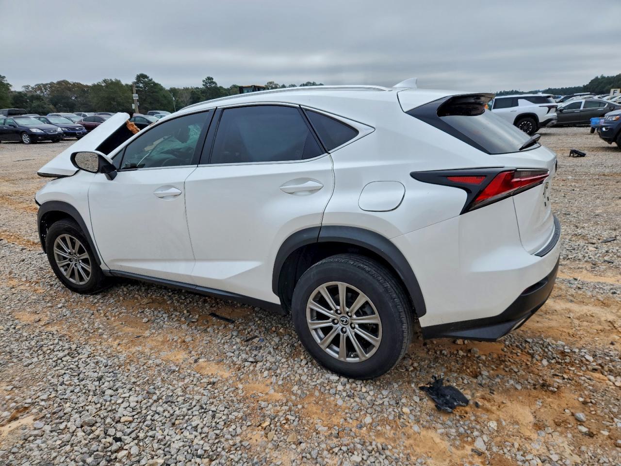 2019 Lexus Nx 300 Base - Фото 2