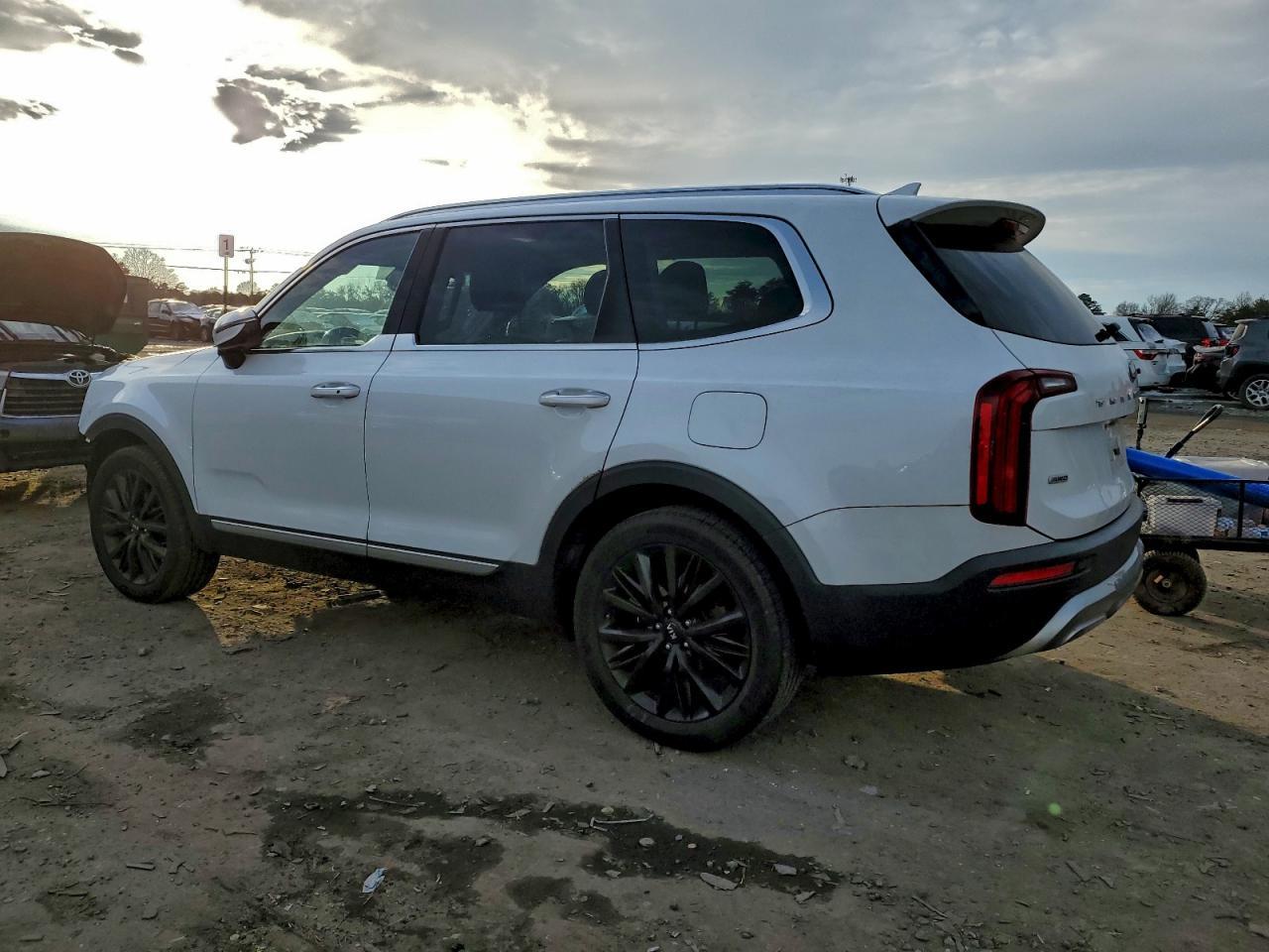 2020 Kia Telluride Sx - Фото 2
