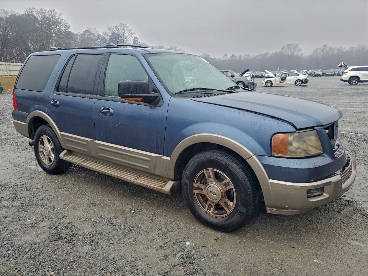 2004 Ford Expedition Eddie Bauer - Фото 4
