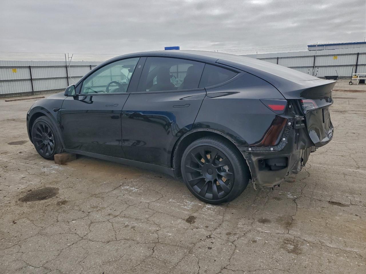 2023 Tesla Model Y - Фото 2