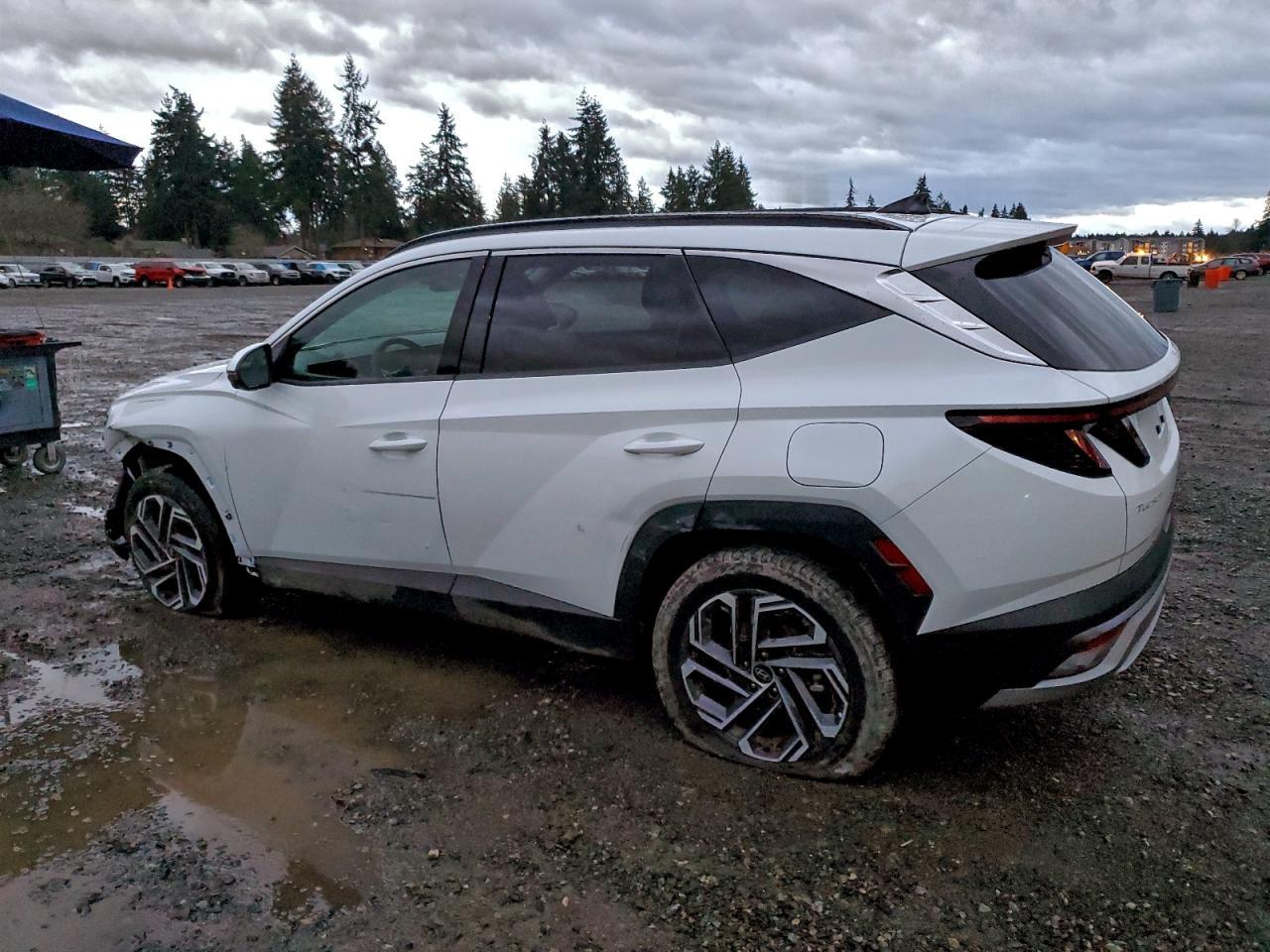 2025 Hyundai Tucson Limited - Фото 2