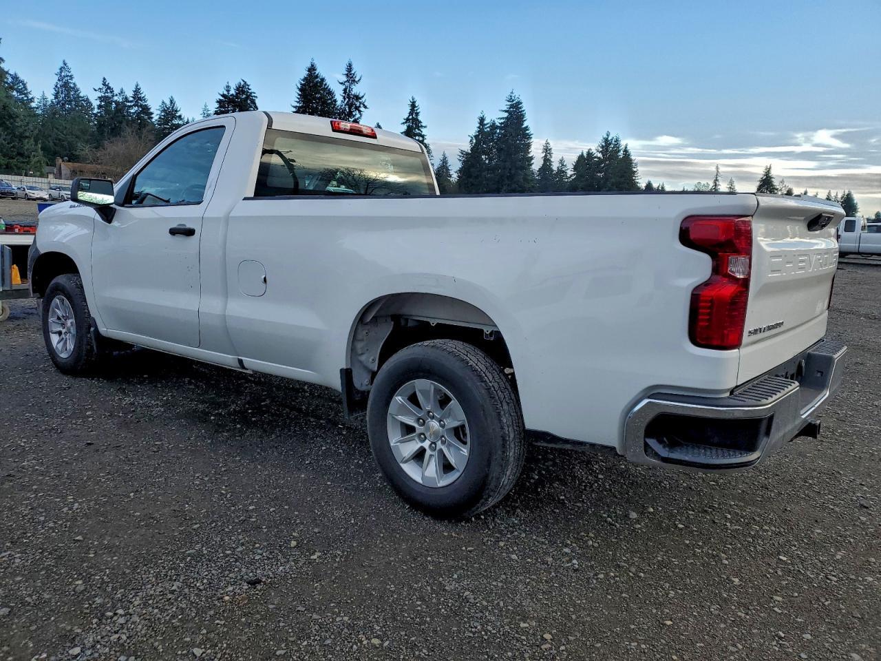 2023 Chevrolet Silverado C1500 - Image 2