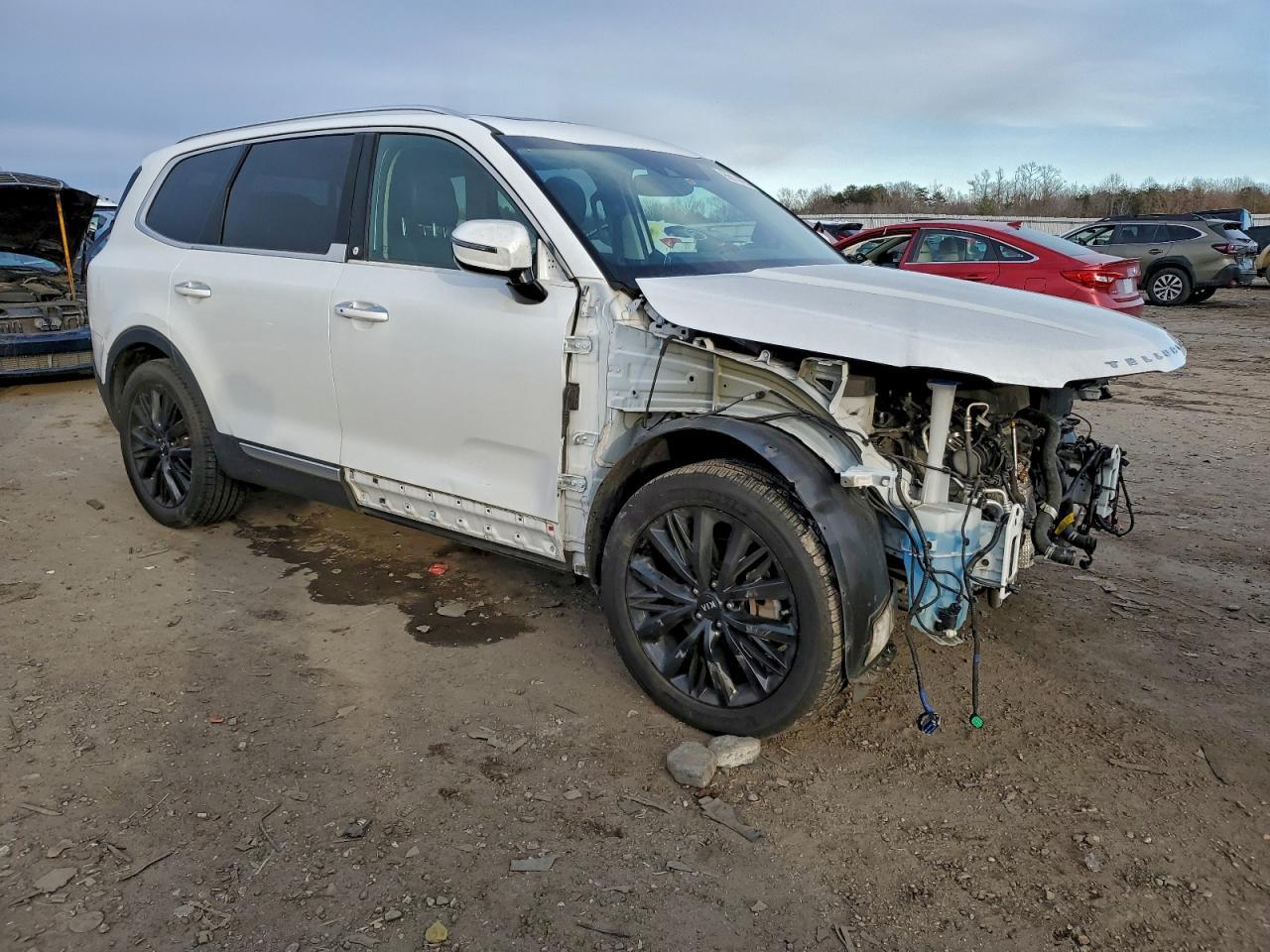 2020 Kia Telluride Sx - Фото 4