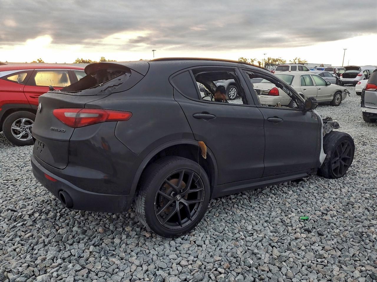 2019 Alfa Romeo Stelvio - Фото 3