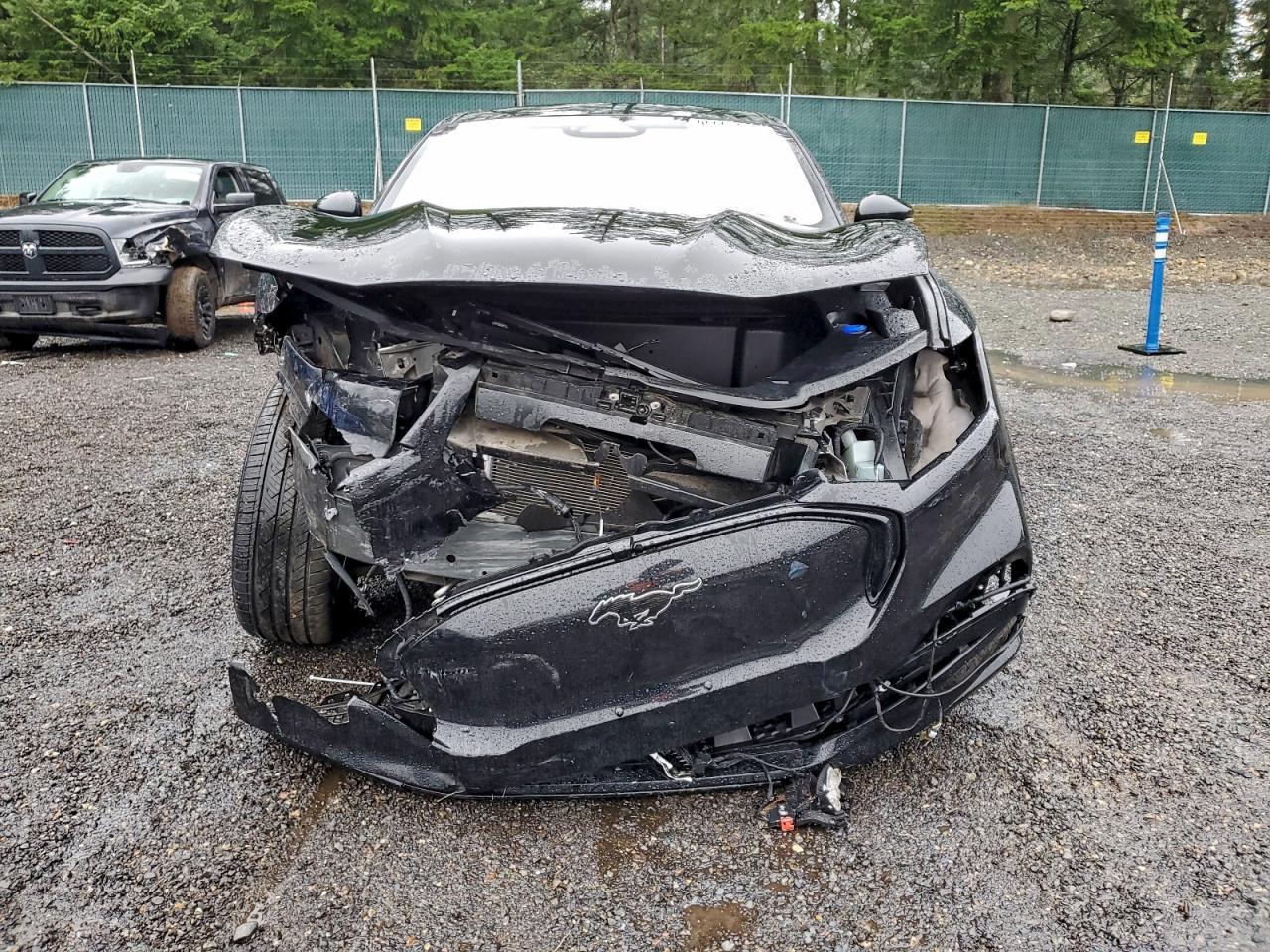 2021 Ford Mustang Mach-E Premium - Фото 5