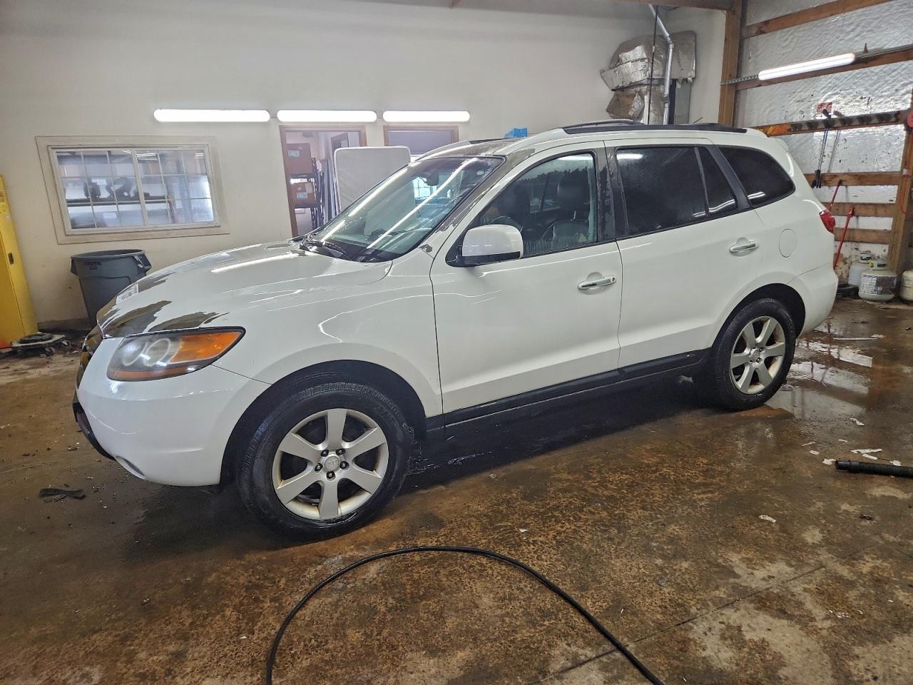 2007 Hyundai Santa Fe Se