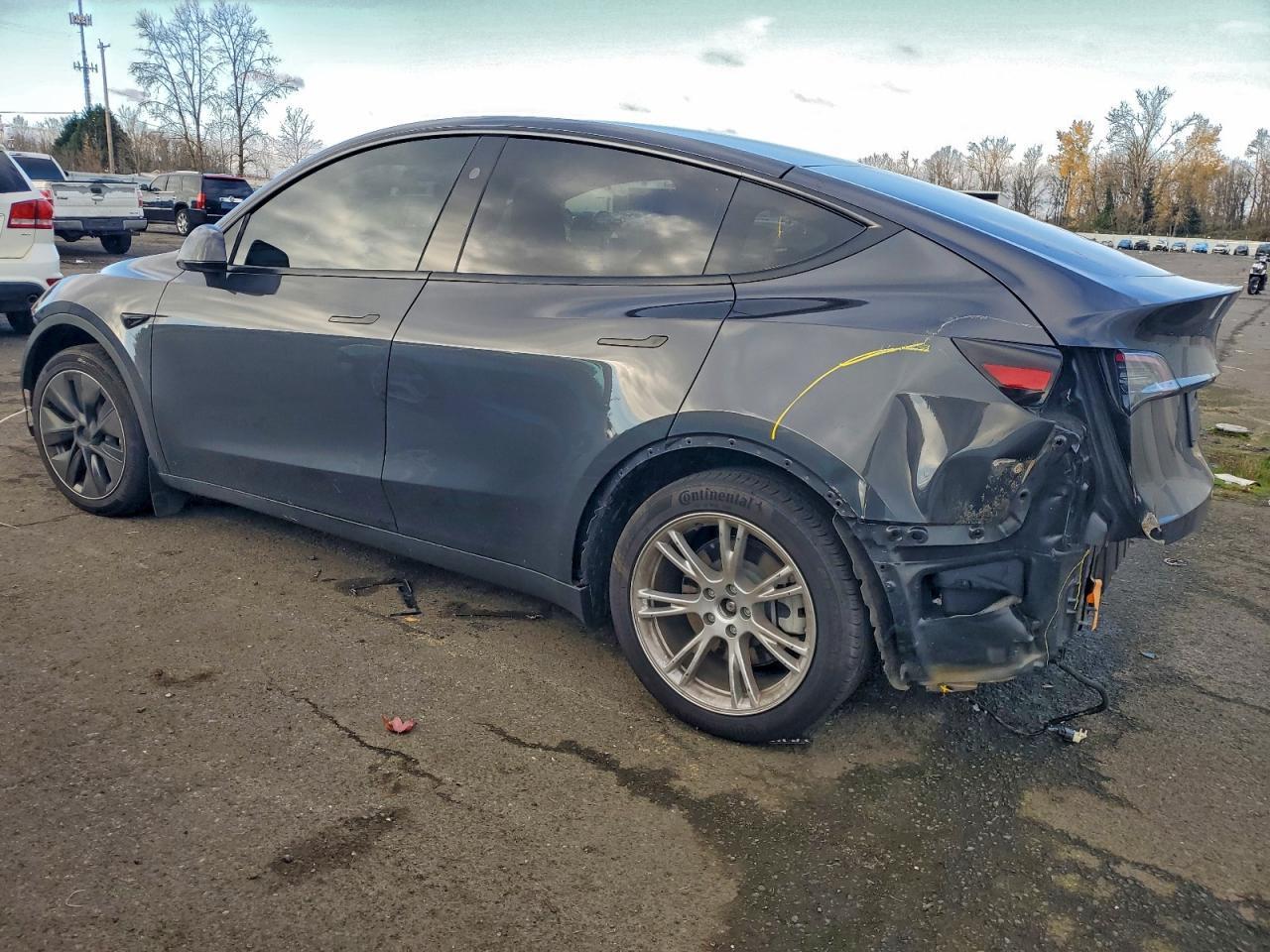 2024 Tesla Model Y - Фото 2