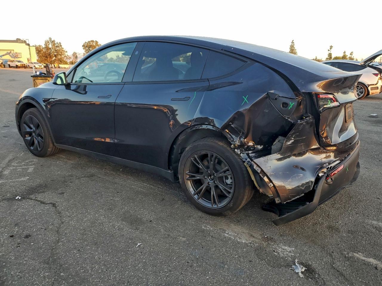 2025 Tesla Model Y - Фото 2