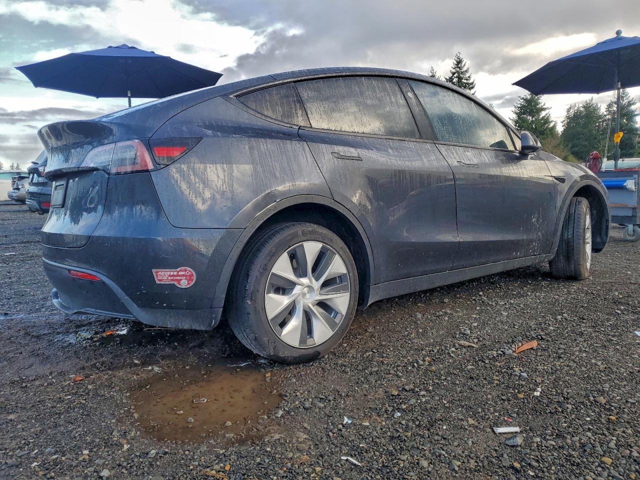 2024 Tesla Model Y - Фото 3