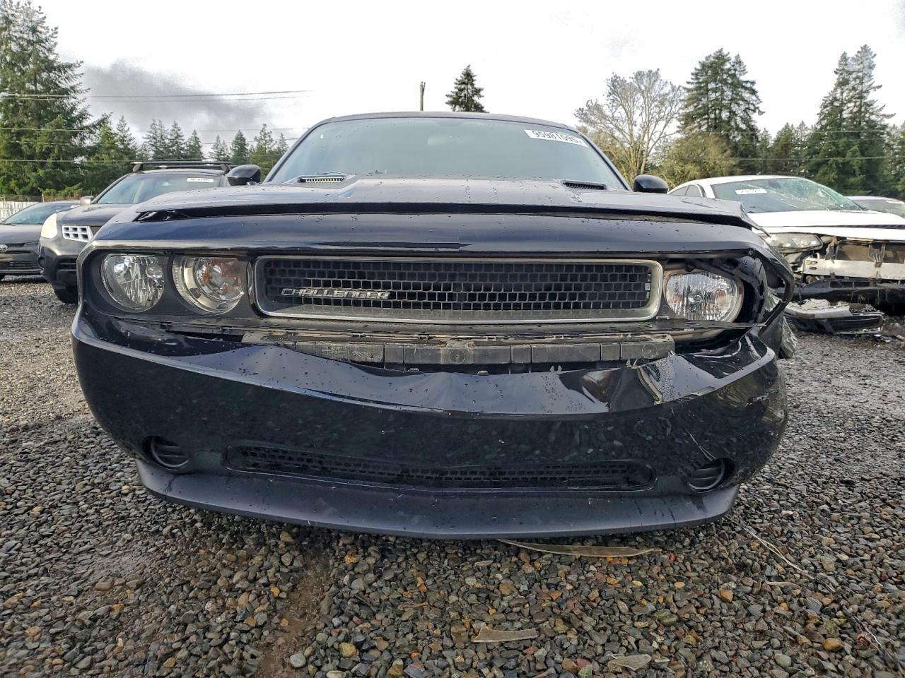 2013 Dodge Challenger Sxt - Фото 5