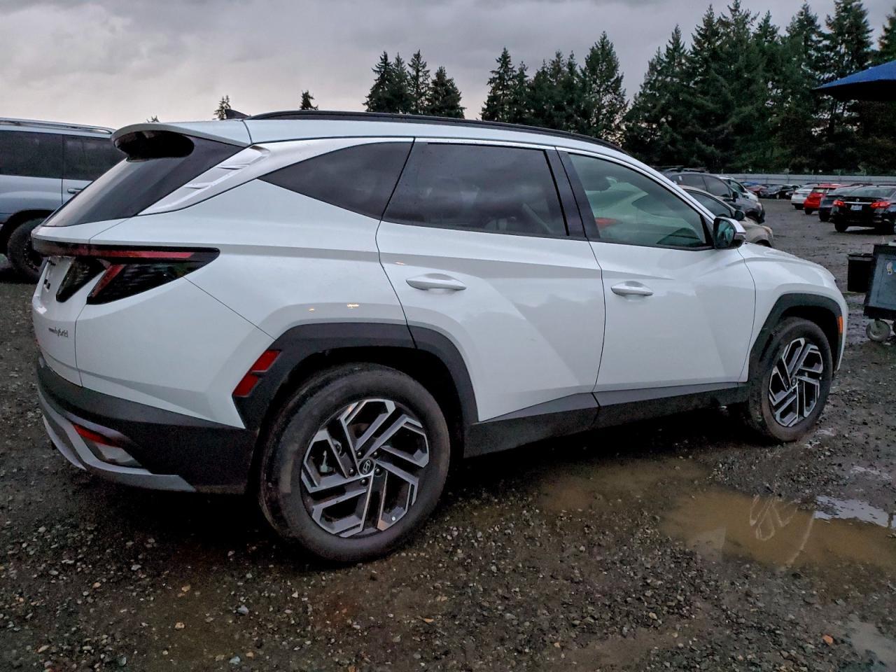 2025 Hyundai Tucson Limited - Фото 3