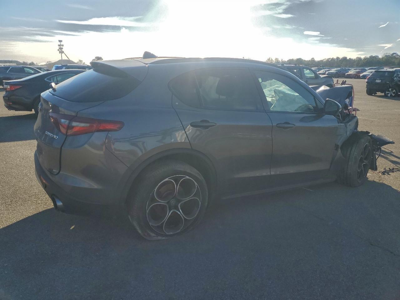 2019 Alfa Romeo Stelvio Ti - Фото 3