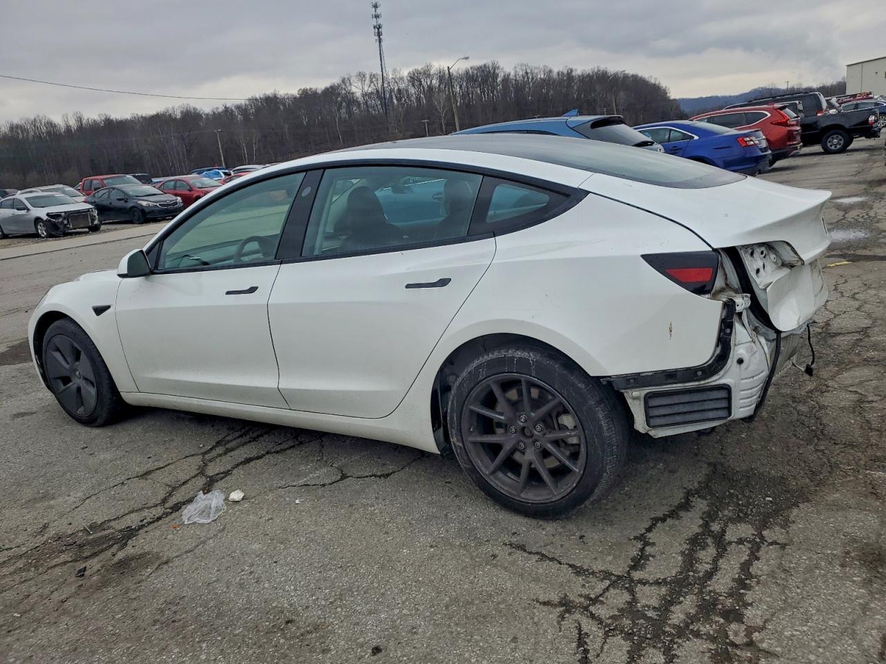 2023 Tesla Model 3 - Фото 2