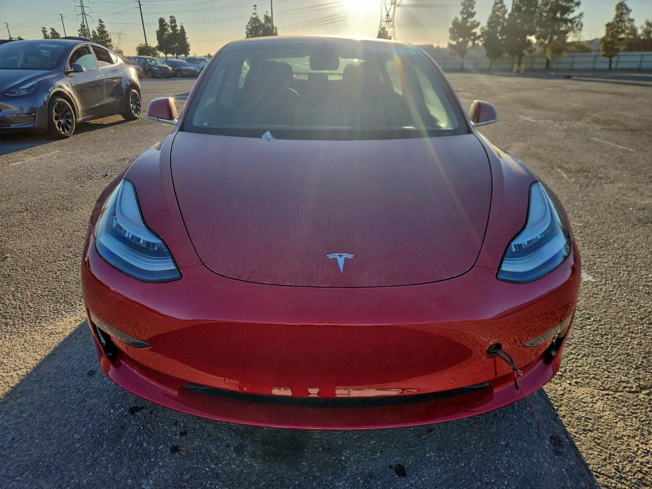 2020 Tesla Model 3 - Фото 5