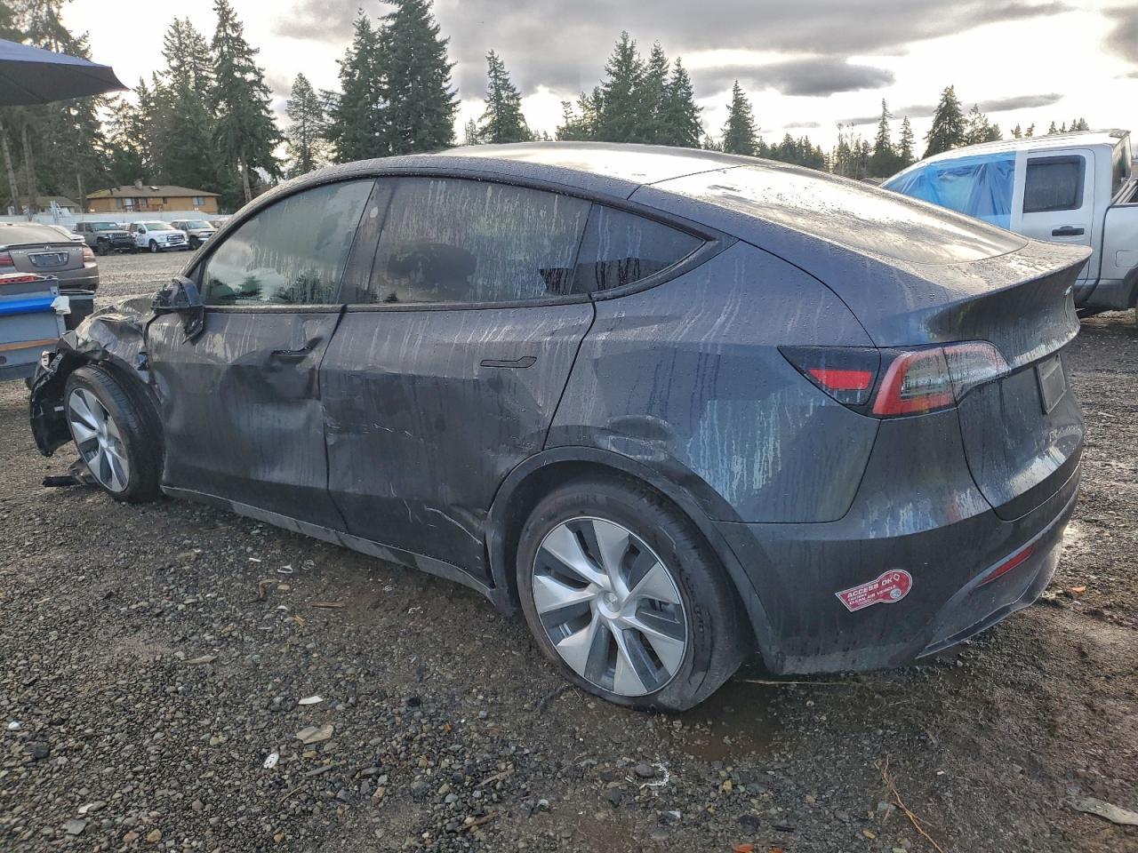 2024 Tesla Model Y - Фото 2