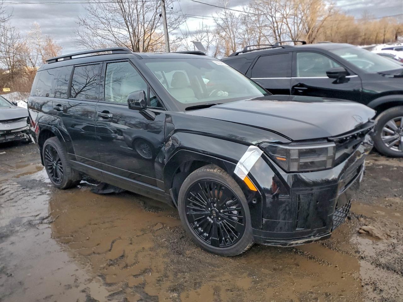 2025 Hyundai Santa Fe Calligraphy - Фото 4