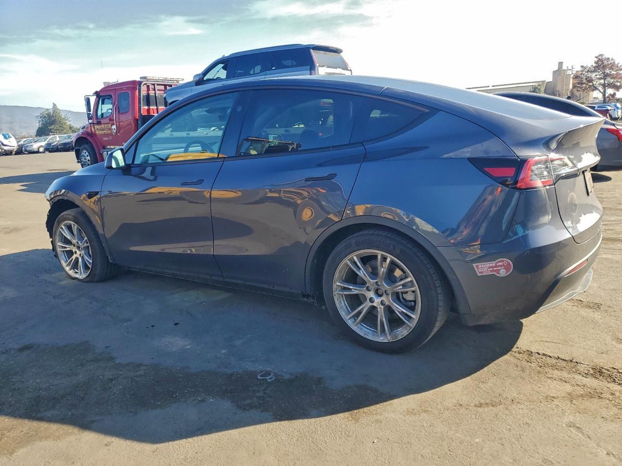 2023 Tesla Model Y - Фото 2