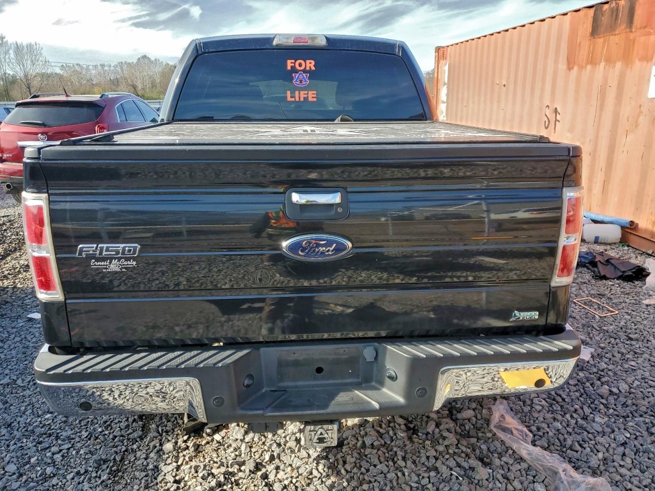 2010 Ford F-150 - Фото 6