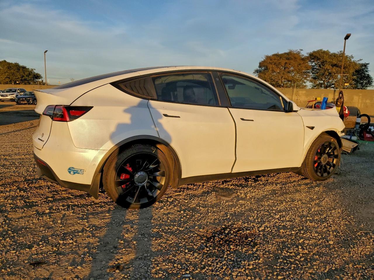 2021 Tesla Model Y - Фото 3