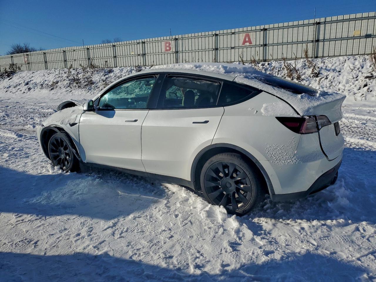 2021 Tesla Model Y - Фото 2