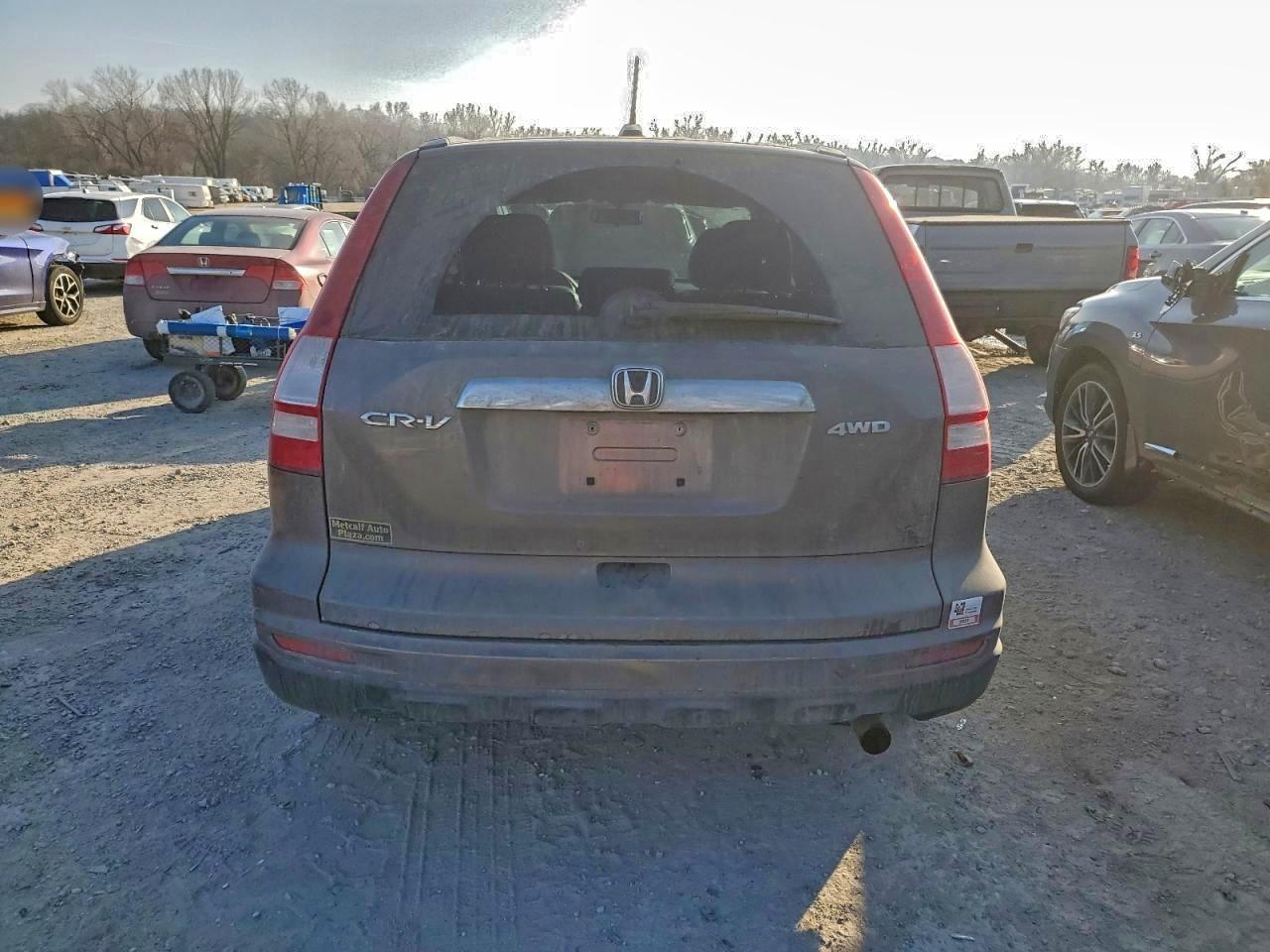 2010 Honda Cr-V Exl - Image 6